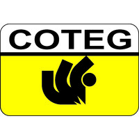 COTEG logo - Similar company to Sendin