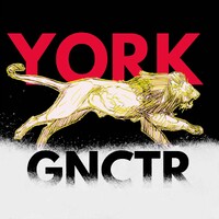 YorkU's Great Northern Concrete Toboggan Race (GNCTR) logo - Similar company to Nftp