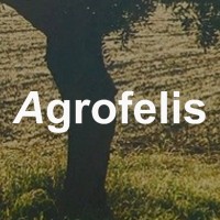 Agrofelis logo - Similar company to Soilwiz