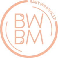 BABYWRANGLER logo - Similar company to The Kids Team