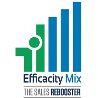 Efficacity Mix logo - Similar company to Efficacity Center Consulting