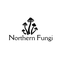Northern Fungi logo - Similar company to Mycleanium