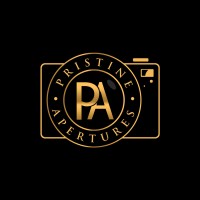 Pristine Apertures logo - Similar company to Voycefirst