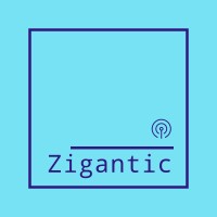 Zigantic logo - Similar company to Webtechno.Com