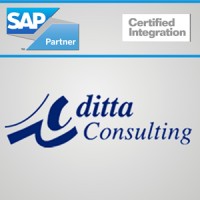 ditta Consulting México logo - Similar company to Ditta
