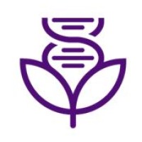 Instituto Mavie logo - Similar company to Próton Saúde Consultoria E Gestão
