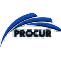 Procur ApS logo - Similar company to Limex Consultancy