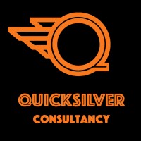 Quicksilver Consultancy logo - Similar company to Datacompetent