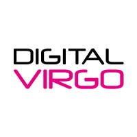 Digital Virgo logo - Similar company to Timwetech