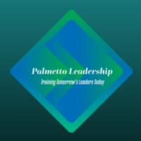Palmetto Leadership LLC logo - Similar company to Pro View Systems Inc