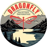 DragonFly Helikopter logo - Similar company to Cervos Space