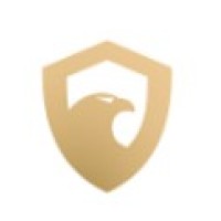 Vip Domme Spa logo - Similar company to Sectech Seguridad Electrónica Y Automatización