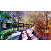 Dean Baldwin Art And Creative