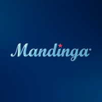 Mandinga logo - Similar company to Gotika