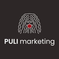 Puli Marketing logo - Similar company to Easyflow App