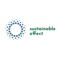 Sustainable Effect logo - Similar company to Act4Change