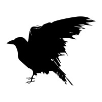 blackraven multimedia logo - Similar company to Black Raven Media