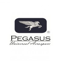 Pegasus Universal Aerospace logo - Similar company to Challenge Air
