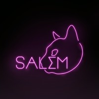 Agência Salém logo - Similar company to Agência Spwm