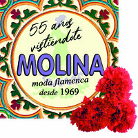 MOLINA MODA FLAMENCA logo - Similar company to Rocio Peralta