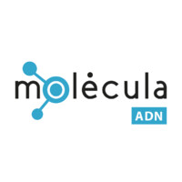 Molecula ADN logo - Similar company to Protec Soluciones Integrales