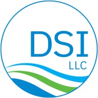 DSI, LLC logo - Similar company to Dsi
