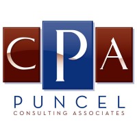 Puncel Consulting Associates