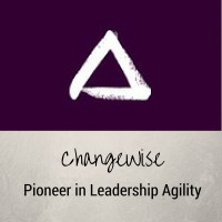 Changewise, Inc.
