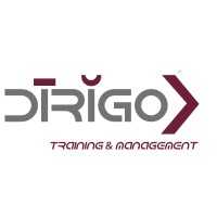 Dirigo Srl logo - Similar company to Argas Bv
