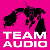 Team Audio logo - Similar company to Rebound Sound Company
