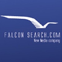 Falcon Search.com LLC logo - Similar company to 2B Innovations Llc