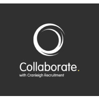 Collaborate with Cranleigh Recruitment logo - Similar company to Cranleigh Cyber