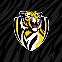 Richmond Football Club logo - Similar company to Ranieri & Co.