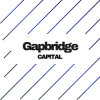 Gapbridge Capital logo - Similar company to Manse Llp