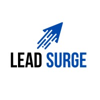 Lead Surge Digital Agency logo - Similar company to Shift Media
