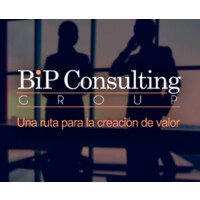 BIP Consulting Group logo - Similar company to Bip Consulting Gmbh