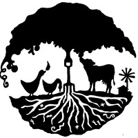 Learning from Nature logo - Similar company to Mindcube Academy