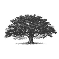 HP Hospitality logo - Similar company to Shavitz Law Group