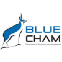 BLUECHAM SAS logo - Similar company to Skilldy