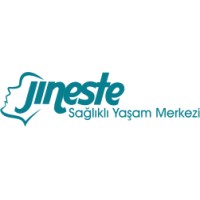 Jineste logo - Similar company to Fonksiyon360