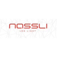 Nassli Group logo - Similar company to Ridi Uk