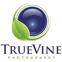 TrueVine Media logo - Similar company to Truevine International Group
