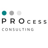 Process Consulting logo - Similar company to Spedimo