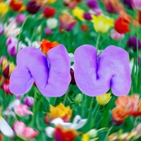 nu studio logo - Similar company to Danilo Design Group®