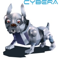 Cybera Srl logo - Similar company to Binario Etico