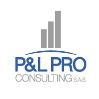 P&L Pro Consulting s.a.s. logo - Similar company to P&L Consulting