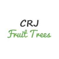 CRJ Fruit Trees Nursery logo - Similar company to Trident