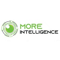 More Intelligence logo - Similar company to Risource