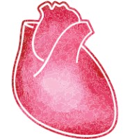 LANSING CARDIOVASCULAR CONSULTANTS PC logo - Similar company to Vishu