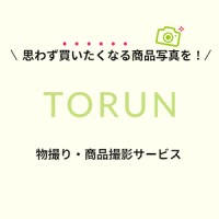 Gyrus Inc. logo - Similar company to Datagrid